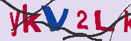 キャプチャ(CAPTCHA)認証コード