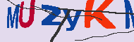 キャプチャ(CAPTCHA)認証コード
