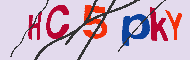キャプチャ(CAPTCHA)認証コード