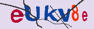 キャプチャ(CAPTCHA)認証コード