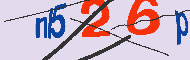 キャプチャ(CAPTCHA)認証コード