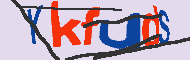 キャプチャ(CAPTCHA)認証コード